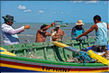 Les pêcheurs de Jericoacoara. (25)