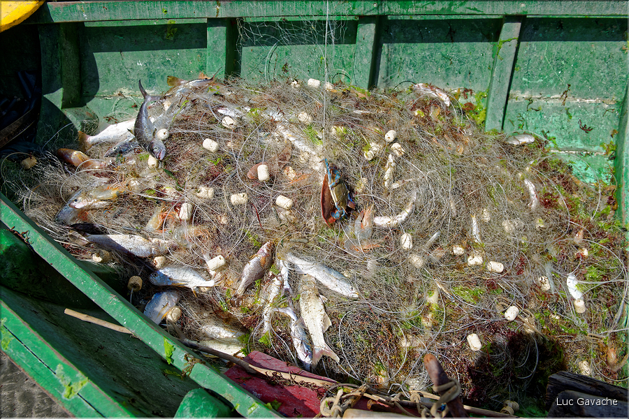 Les pêcheurs de Jericoacoara. (27)