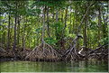 Delta de Parnaiba (38)_DxO