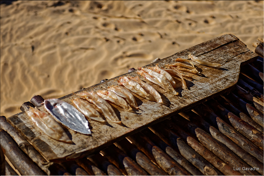 Grâce à ses eaux poissoneuses, le delta de Parnaiba abrite de nombreux pêcheurs. (28)