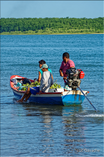 Grâce à ses eaux poissoneuses, le delta de Parnaiba abrite de nombreux pêcheurs. (53)