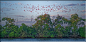 Le delta de Parnaiba abrite de nombreuses ibis rouges qui se regroupent par centaines sur une petite île à la tombé de la nuit. (43)