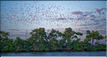 Le delta de Parnaiba abrite de nombreuses ibis rouges qui se regroupent par centaines sur une petite île à la tombé de la nuit. (47)