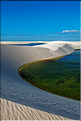 Les Lençois Maranhenses. s'étendent, dans une sucession de dunes et de petits lacs, le long du littoral sur près de 80 km. (55)