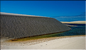 Les Lençois Maranhenses. s'étendent, dans une sucession de dunes et de petits lacs, le long du littoral sur près de 80 km. (66)