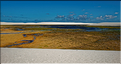 Les Lençois Maranhenses. s'étendent, dans une sucession de dunes et de petits lacs, le long du littoral sur près de 80 km. (71)