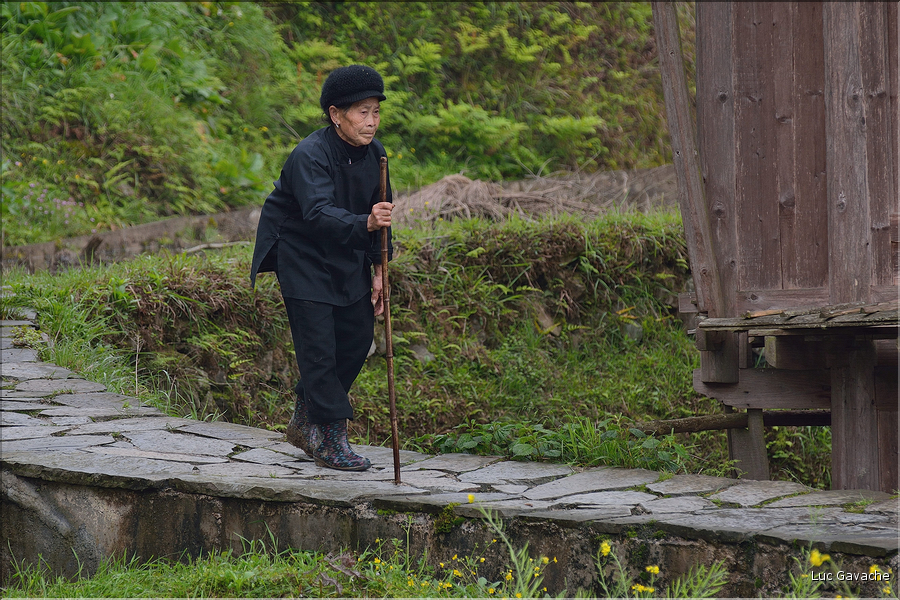 Dans les environs du village de Zhaoxing. (2)