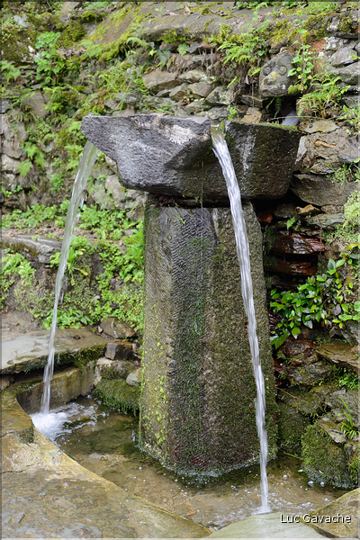 Dans les environs du village de Zhaoxing. (8)