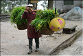 Dans les environs du village de Zhaoxing. (16)