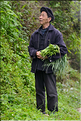 Dans les environs du village de Zhaoxing. (19)