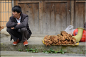 Dans les rues du village de Zhaoxing. (22)
