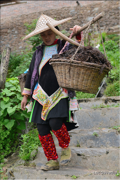 Basha est peuplé de l'ethnie Miao, un sous groupe des Hmong. (3)