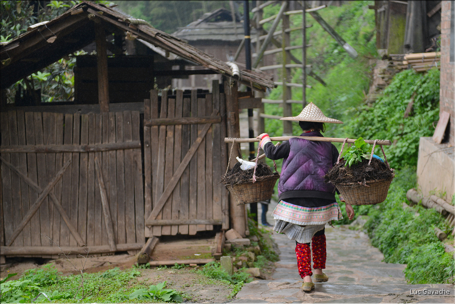 Basha est peuplé de l'ethnie Miao, un sous groupe des Hmong. (4)
