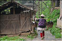 Basha est peuplé de l'ethnie Miao, un sous groupe des Hmong. (4)