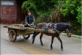 Une des portes d'entrées du village Dong de Huanggan, avec à côté le traditionnel pont du vent et de la pluie. Région de Congjiang. (2)