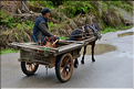 Une des portes d'entrées du village Dong de Huanggan, avec à côté le traditionnel pont du vent et de la pluie. Région de Congjiang. (3)