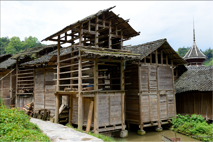 Séchoirs à riz à l'entrée du village de Xiaohuang. (2)