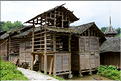 Séchoirs à riz à l'entrée du village de Xiaohuang. (2)