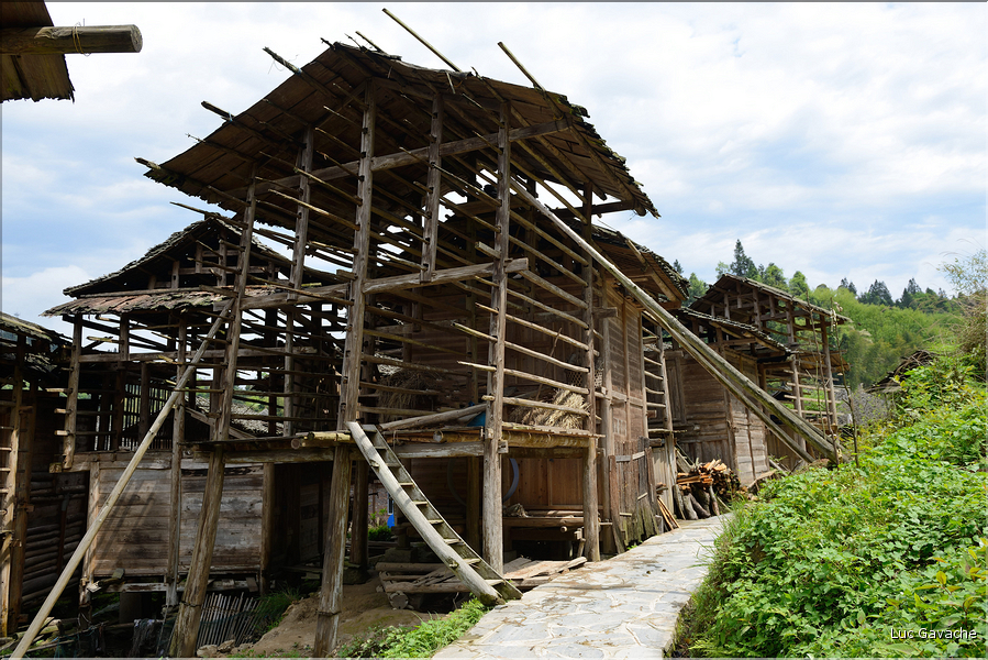 Séchoirs à riz à l'entrée du village de Xiaohuang. (3)