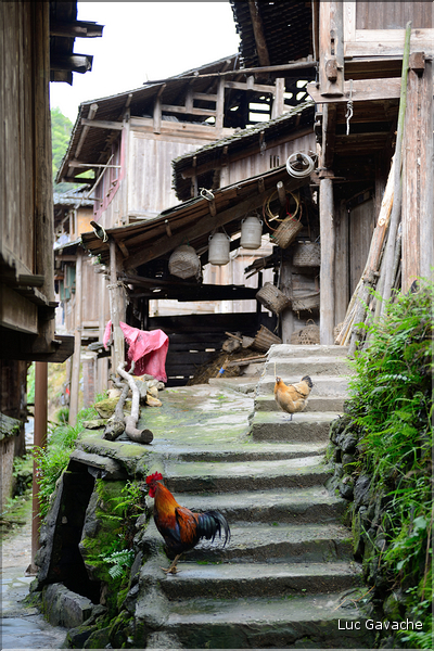 Dans les rues et ruelles du village Dong de Xiaohuang. (49)