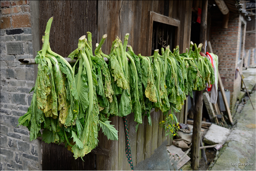 Dans les rues et ruelles du village Dong de Xiaohuang. (58)