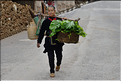 Personnes revenant ou se rendant dans les jardins du village de Xiaohuang. (4)