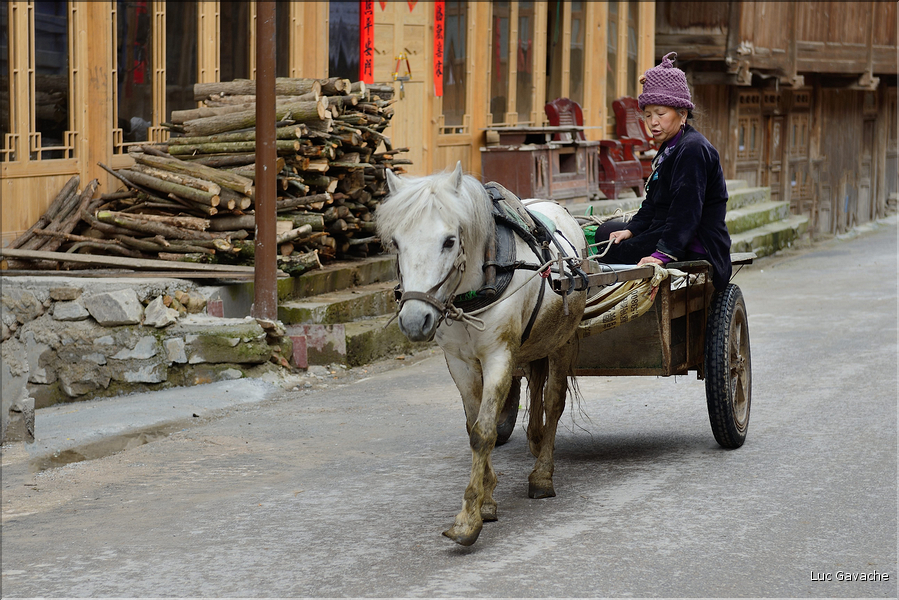 Personnes revenant ou se rendant dans les jardins du village de Xiaohuang. (6)