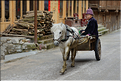 Personnes revenant ou se rendant dans les jardins du village de Xiaohuang. (6)