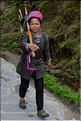 Personnes revenant ou se rendant dans les jardins du village de Xiaohuang. (9)