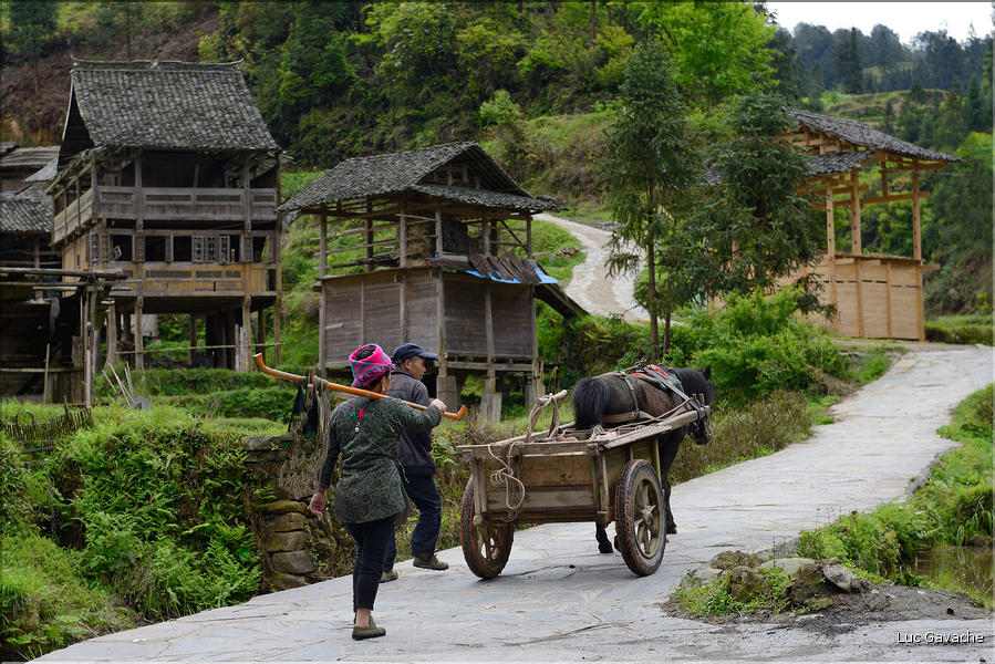 Personnes revenant ou se rendant dans les jardins du village de Xiaohuang. (10)