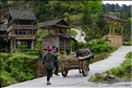 Personnes revenant ou se rendant dans les jardins du village de Xiaohuang. (10)