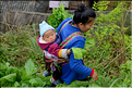 Personnes revenant ou se rendant dans les jardins du village de Xiaohuang. (12)