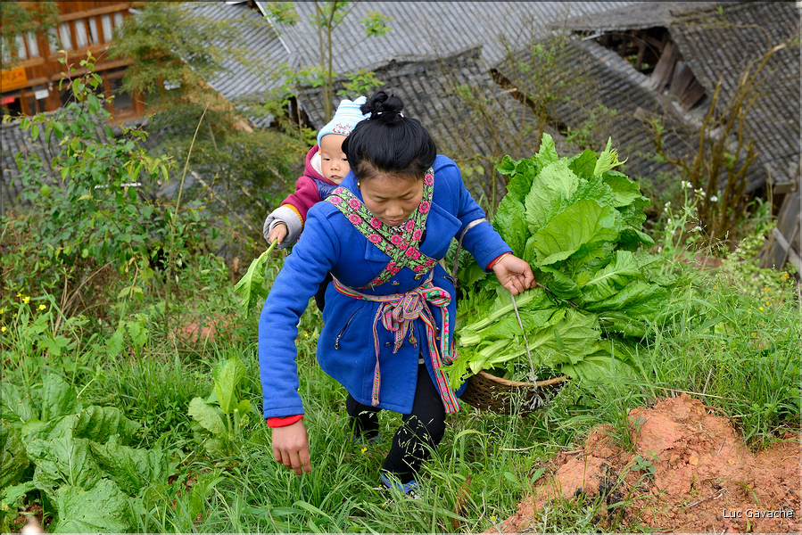 Personnes revenant ou se rendant dans les jardins du village de Xiaohuang. (13)