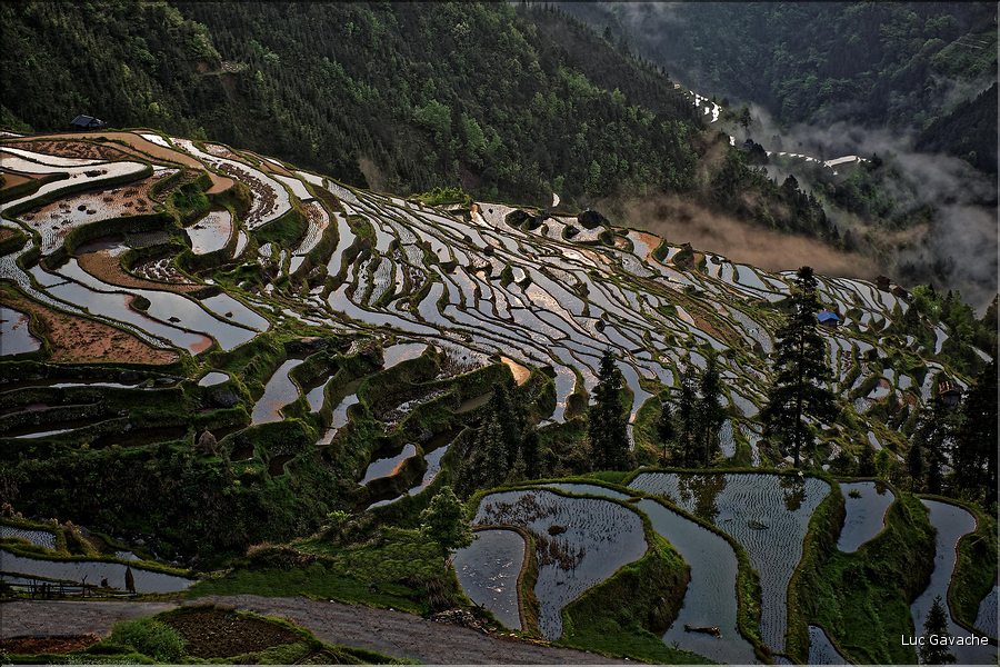 Les rizières en terrasses de Jiabang près du village de Jiache. (13)