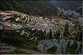 Les rizières en terrasses de Jiabang près du village de Jiache. (13)