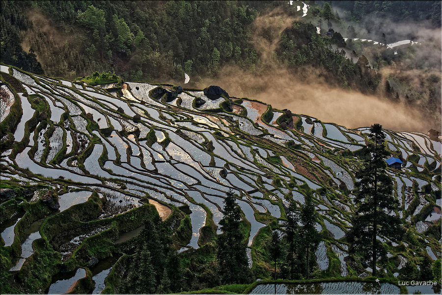 Les rizières en terrasses de Jiabang près du village de Jiache. (15)
