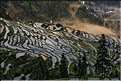 Les rizières en terrasses de Jiabang près du village de Jiache. (15)