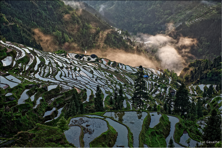 Les rizières en terrasses de Jiabang près du village de Jiache. (16)