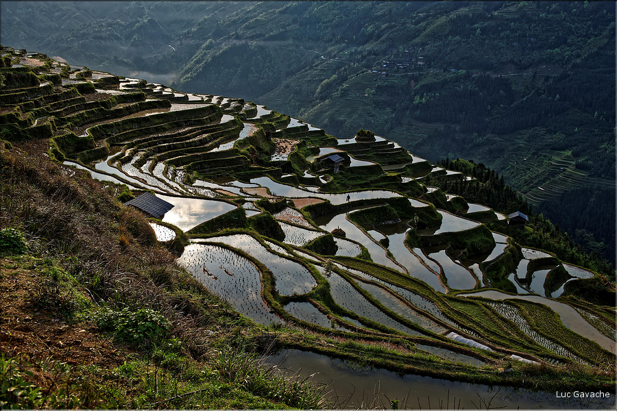 Les rizières en terrasses de Jiabang près du village de Jiache. (19)