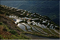 Les rizières en terrasses de Jiabang près du village de Jiache. (19)