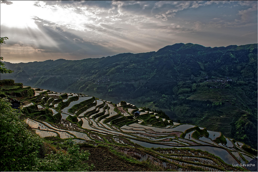 Les rizières en terrasses de Jiabang près du village de Jiache. (20)