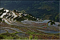 Les rizières en terrasses de Jiabang près du village de Jiache. (21)