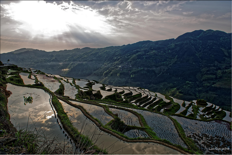 Les rizières en terrasses de Jiabang près du village de Jiache. (23)