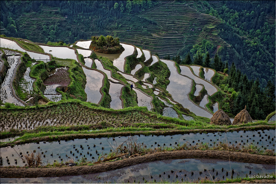 Les rizières en terrasses de Jiabang près du village de Jiache. (24)