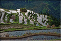 Les rizières en terrasses de Jiabang près du village de Jiache. (24)