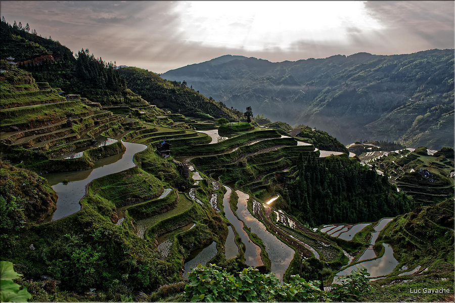 Les rizières en terrasses de Jiabang près du village de Jiache. (27)