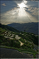 Les rizières en terrasses de Jiabang près du village de Jiache. (29)