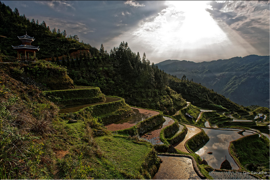 Les rizières en terrasses de Jiabang près du village de Jiache. (30)