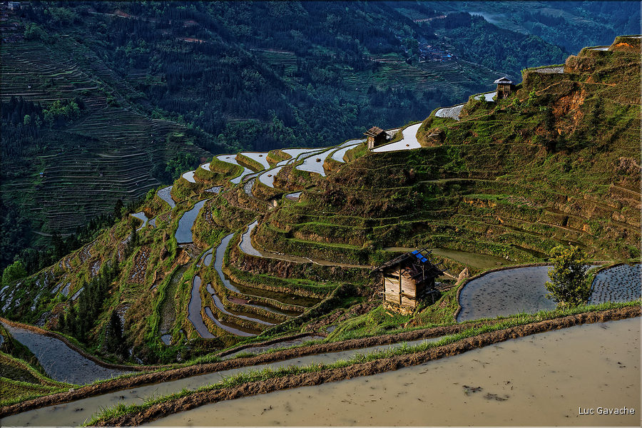 Les rizières en terrasses de Jiabang près du village de Jiache. (31)
