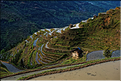 Les rizières en terrasses de Jiabang près du village de Jiache. (31)
